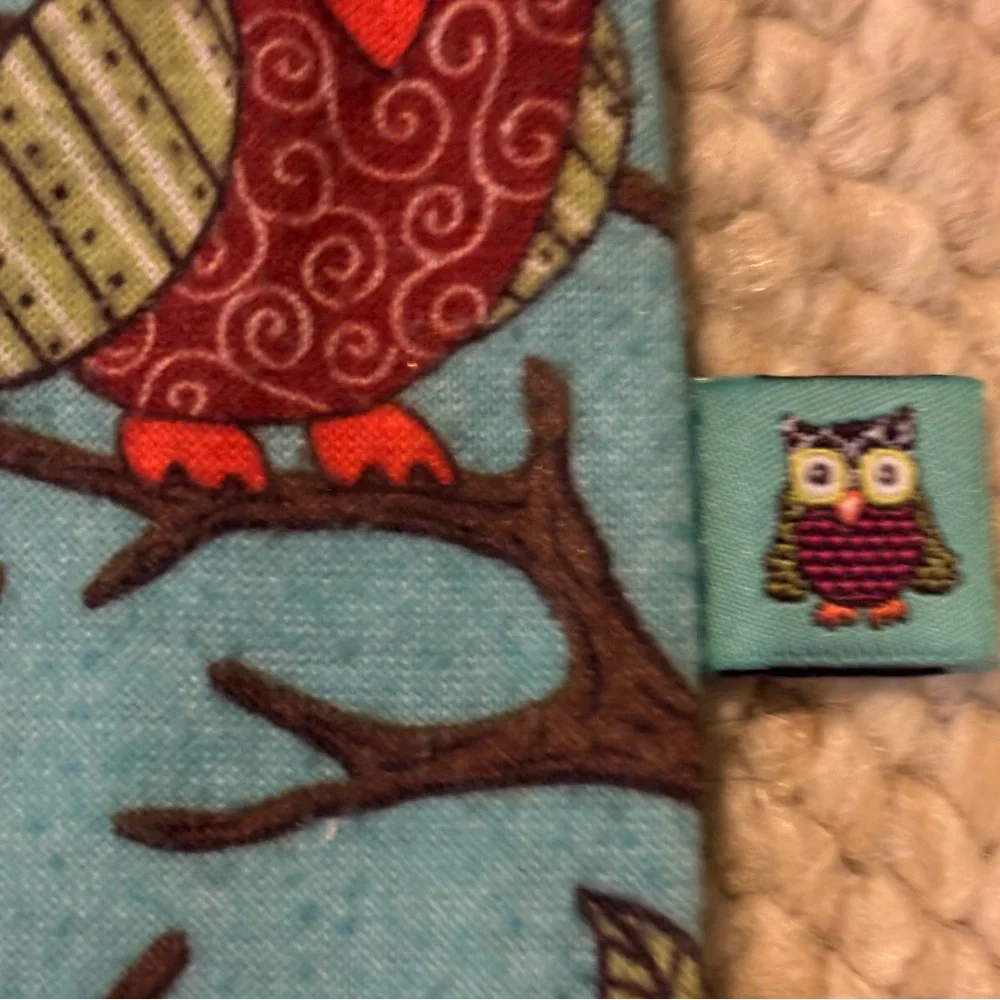 Nick & Nora 4T FLAME RESISTANT 2 Piece Pajamas Owls Long pants & Button up top